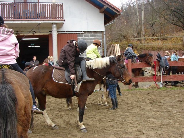 Hubertus 2010